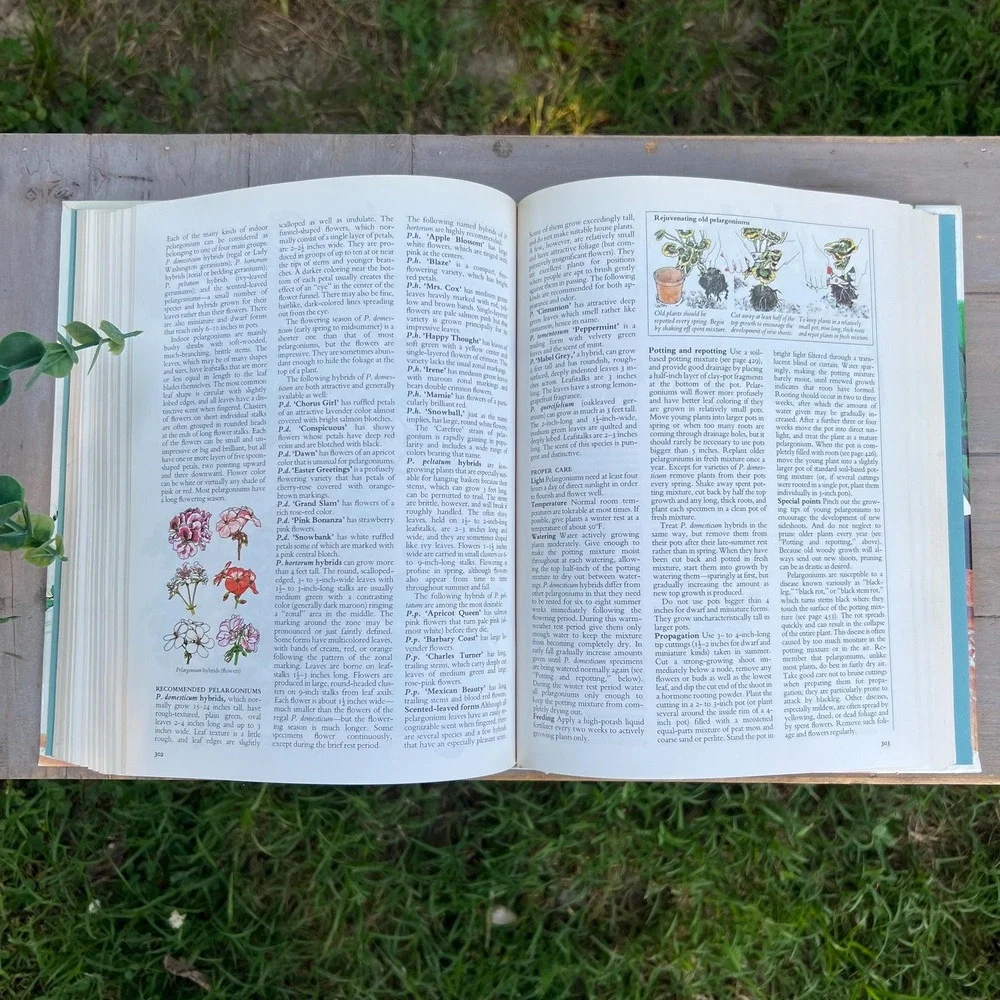 Vintage 1970s Readers Digest House Plant Coffee Table Book